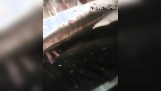 Bangla girl wants boyfriend to jerk off watching her XXX video | XXX Video on AllSex.XXX