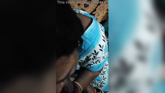 Lascivious Indian wife kneels to suck lover's meaty XXX sausage | XXX Video on AllSex.XXX