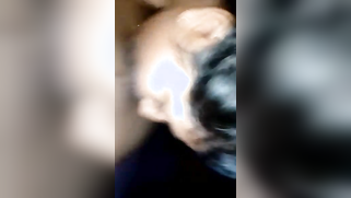 Fellatrix can make the Indian boner erupt XXX yogurt using just mouth | XXX Video on AllSex.XXX