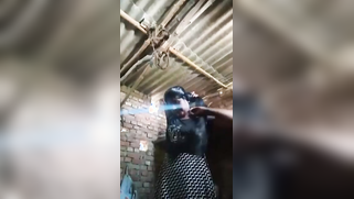 Barn is a safe place where the Tamil camgirl can film XXX shows | XXX Video on AllSex.XXX