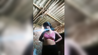 Barn is a safe place where the Tamil camgirl can film XXX shows | XXX Video on AllSex.XXX