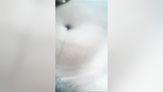 Punjabi man is in seventh XXX heaven when he fucks lover's hairy pussy | XXX Video on AllSex.XXX