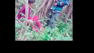 Voyeur catches Indian XXX partners making love in the forest | XXX Video on AllSex.XXX