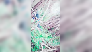 Voyeur catches Indian XXX partners making love in the forest | XXX Video on AllSex.XXX