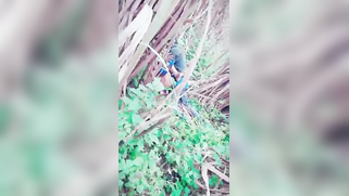 Voyeur catches Indian XXX partners making love in the forest | XXX Video on AllSex.XXX