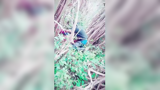 Voyeur catches Indian XXX partners making love in the forest | XXX Video on AllSex.XXX