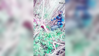 Voyeur catches Indian XXX partners making love in the forest | XXX Video on AllSex.XXX