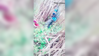 Voyeur catches Indian XXX partners making love in the forest | XXX Video on AllSex.XXX