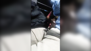 Naughty Desi strokes stranger's XXX trumpet with hand in the bus | XXX Video on AllSex.XXX