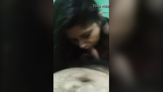 Skilled Indian fellatrix impresses XXX buddy with cocksucking skills | XXX Video on AllSex.XXX
