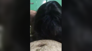 Skilled Indian fellatrix impresses XXX buddy with cocksucking skills | XXX Video on AllSex.XXX