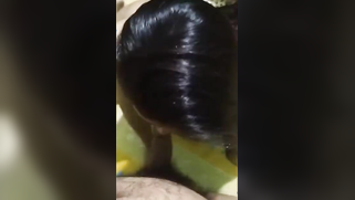 Skilled Indian fellatrix impresses XXX buddy with cocksucking skills | XXX Video on AllSex.XXX