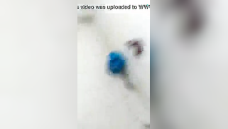 Well-mannered chubby exposes perky boobs and kisses her XXX partner | XXX Video on AllSex.XXX