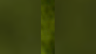 Bangla slut isn't going to resist guy cause XXX banging is OK for her | XXX Video on AllSex.XXX