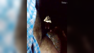 Man wants a XXX blowjob from Desi MILF so she takes penis in mouth | XXX Video on AllSex.XXX