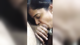 Video of aunty who feels obliged to suck her XXX addicted nephew off | XXX Video on AllSex.XXX