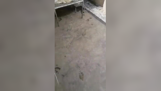 Indian is so XXX that man can't stop fucking her behind close curtains | XXX Video on AllSex.XXX