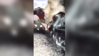 Desi willingly takes cock in mouth in front of camera for XXX blowjob | XXX Video on AllSex.XXX