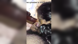 Desi willingly takes cock in mouth in front of camera for XXX blowjob | XXX Video on AllSex.XXX