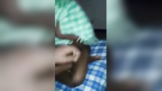 Desi model really impresses guy with a perfect XXX blowjob on camera | XXX Video on AllSex.XXX