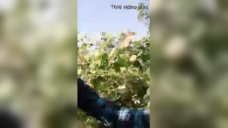 Playful aunty exposes her cherry to nephew during XXX walk in the park | XXX Video on AllSex.XXX