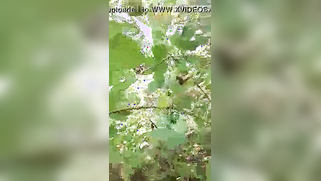 Playful aunty exposes her cherry to nephew during XXX walk in the park | XXX Video on AllSex.XXX