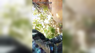 Playful aunty exposes her cherry to nephew during XXX walk in the park | XXX Video on AllSex.XXX