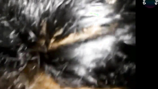 Indian gives a quick blowjob and makes man ejaculate in XXX video | XXX Video on AllSex.XXX