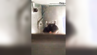 Desi chick gives XXX opening to partner who scores it in the moving train | XXX Video on AllSex.XXX