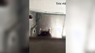 Desi chick gives XXX opening to partner who scores it in the moving train | XXX Video on AllSex.XXX