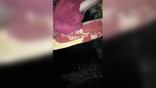 Exposing hairy pussy means XXX fucking and creampie for the Desi whore | XXX Video on AllSex.XXX