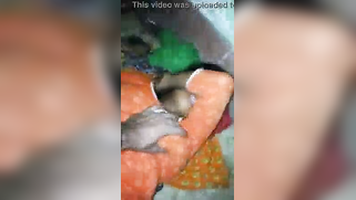 Slit of Indian is so XXX that man can't stop uniting penis with it | XXX Video on AllSex.XXX