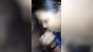 Married Indian woman gives XXX hand and blowjob to amateur porn lover | XXX Video on AllSex.XXX