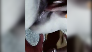 Cunning Bangla makes man send money for XXX striptease and fingering | XXX Video on AllSex.XXX