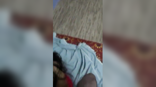 Modest Indian beauty find courage to suck BF's XXX dick on camera | XXX Video on AllSex.XXX