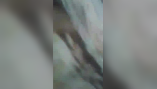 After hindi talk Desi nymph sucks lover's XXX rod in front of camera | XXX Video on AllSex.XXX