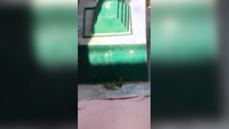 Pervert peeps on horny Desi lovers who have XXX chudai on the rooftop | XXX Video on AllSex.XXX