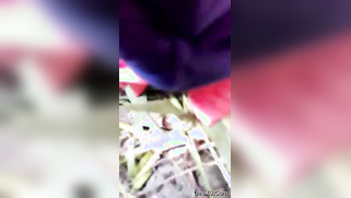 Village fellow fingers GF's XXX peach during chudai in the field | XXX Video on AllSex.XXX