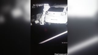 Caught On Cctv - Manohar Lal Dhakad Fuck A Cheap Whore On Madhya Pradesh Expressway | XXX Video on AllSex.XXX