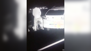 Caught On Cctv - Manohar Lal Dhakad Fuck A Cheap Whore On Madhya Pradesh Expressway | XXX Video on AllSex.XXX