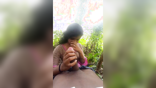 18-Year-Old Girl From Kerala Was Involved In A Viral XXX Mms Scandal, Where She Suck Dick Bf Outdoor | XXX Video on AllSex.XXX