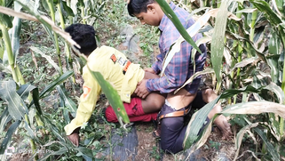 Indian Worker Fucked Colleague’s Tight Ass In Cornfield, Leaving It Wrecked And Quivering | XXX Video on AllSex.XXX