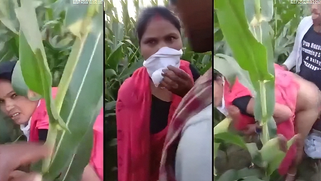 Filthy Adulterous Slut Fucked Hard, Busted by Indian Peeping Tom on XXX MMS Video, Totally Degraded