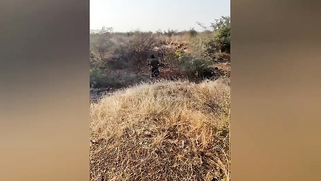 Sneaky Camera Films Naughty Indian Wife Cheating, Sucking Cock Voraciously Outdoor - Leak MMs | XXX Video on AllSex.XXX