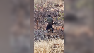 Sneaky Camera Films Naughty Indian Wife Cheating, Sucking Cock Voraciously Outdoor - Leak MMs | XXX Video on AllSex.XXX