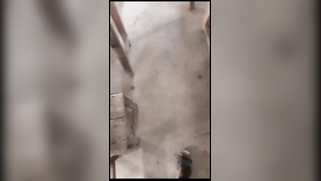 Cute Indian GF Blows Cock Like a Slut, Then Rides It Raw Post-Lecture | XXX Video on AllSex.XXX