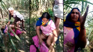 Caught Cheatin' Old Geezer Fucks Village Widow's Drippin' Cunt in Cornfield