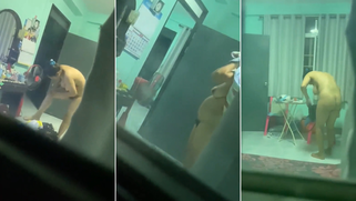 Busty Desi Aunty Filmed Naked by Her Perv Nephew Then Leaked All Over the Damn Net | XXX Video on AllSex.XXX