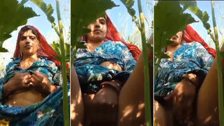 Horny Village Bhabhi Goes Full Nude In Crop Field & Diddles Her Sloppy Snatch