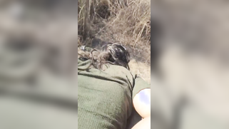 Pakistani Big Brother Pounds His Sister's Outdoor Tight Butthole In Their Village | XXX Video on AllSex.XXX